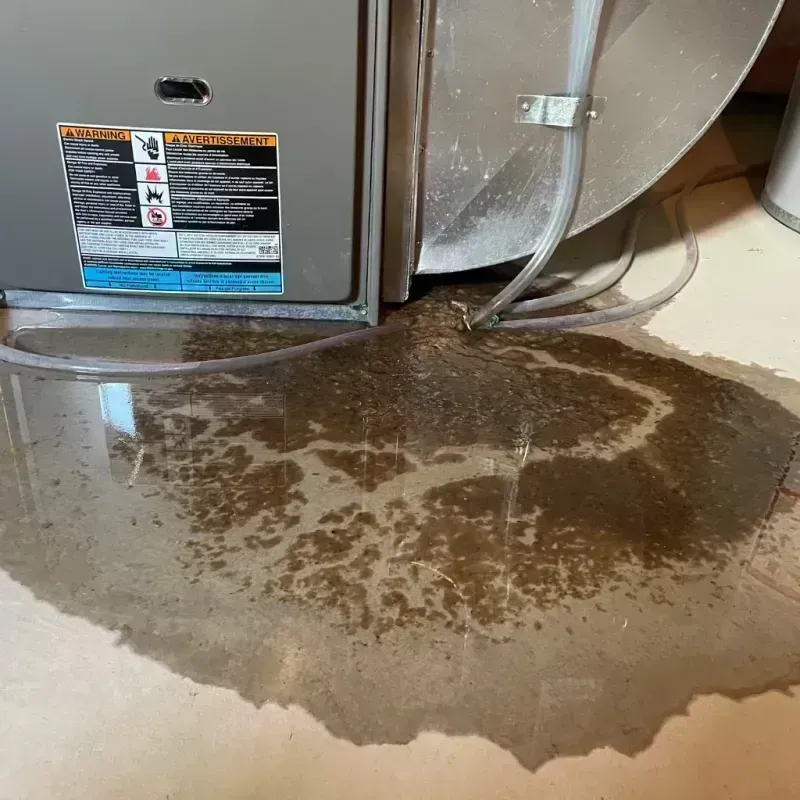 Appliance Leak Cleanup in Custer County, ID